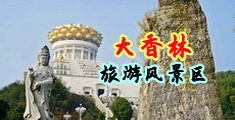 内设视屏网免费看黄白逼中国浙江-绍兴大香林旅游风景区